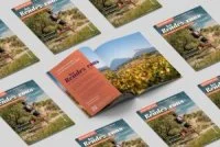 Les Rendez-Vous en Grand Pic Saint-Loup #10