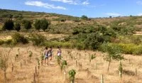 PERMA SOCIAL CLUB-AGENCE DE VOYAGE ECOTOURISTIQUE 