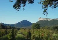 ROUTE DES VINS - VIGNES EN PAYSAGES