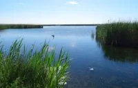 La Camargue