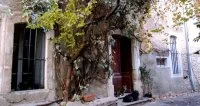 Saint-Bauzille-de-Montmel - Grand Pic Saint-Loup