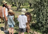 Sur le sentier de Bebelle - Domaine de l'Oulivie