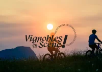 Exp&eacute;riences &OElig;notouristiques en Grand Pic Saint-Loup - Vignobles en Sc&egrave;ne
