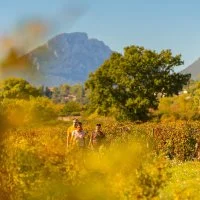 Couleurs d'automne en Grand Pic Saint-Loup - Tetieres
