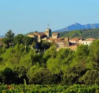Vacqui&egrave;res - Grand Pic Saint-Loup