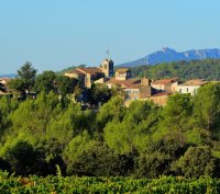 Vacquières - Grand Pic Saint-Loup