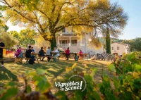 Vignobles en Sc&egrave;ne