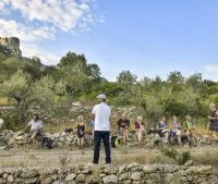 Balade &agrave; pied vins et saveurs du Pic 2020 16