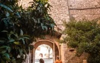 Visites Guid&eacute;es de l'Office de Tourisme du Grand Pic Saint-Loup - Viols-le-Fort