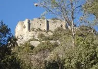 Rouet - Grand Pic Saint-Loup