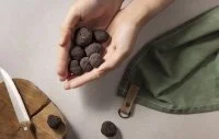 La truffe