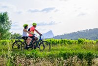 Les professionnels du VTT - Location - Herault - Grand Pic Saint-Loup Tourisme - Herault - Occitanie © Regis Domergue Les professionnels du VTT - Location - Herault - Grand Pic Saint-Loup Tourisme - Herault - Occitanie
