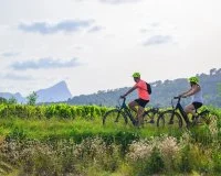 V&eacute;los dans les vignes Fontan&egrave;s