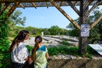 SIte de Cambous - Viols-en-Laval - Herault - Occitanie - Grand Pic Saint-Loup Tourisme 17