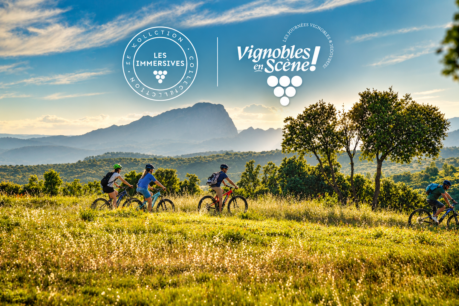 Vignobles en selle autour du Domaine de la Triballe