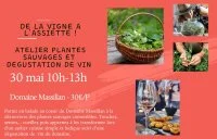 Atelier Plantes Sauvages et D&eacute;gustation de Vin &copy; 