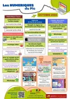 Les Num&eacute;riques du Pic &copy; 