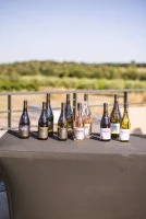 Les jeudis du Capucin &copy; mathils villemejeanne