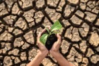 Fresque du climat &copy;freepik