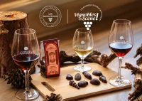 Atelier Accords chocolats et vins  &copy; Domaine Massillan