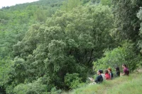 Juste sous nos pieds, l&agrave; o&ugrave; la terre parle &copy; le septieme point