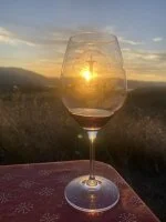D&eacute;gustation de vins au soleil couchant &copy; noelle