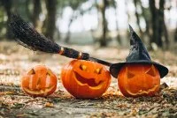 Halloween &copy; magnifik