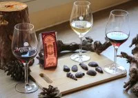 Ateliers accords chocolats et vins - Vignobles en sc&egrave;ne &copy; Domaine Massillan