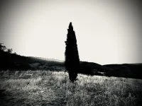 Atelier photographique &copy; 