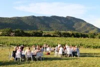Les Arts &eacute;questres au Pic Saint-Loup - Les Oenoculturelles 2026 &copy; 