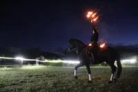 Les Arts &eacute;questres au Pic Saint-Loup - Les Oenoculturelles 2026 &copy; 