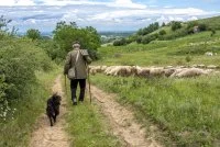 Des roches, des paysages et des hommes &copy;freepik