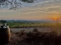D&eacute;gustation de vins au soleil couchant &copy; noelle