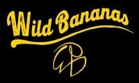 Concert WILD BANANAS &copy; Mairie Vailhauqu&egrave;s