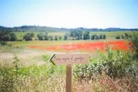Sentier botanique entre vignes et garrigue 2 &copy; Domaine de La Jasse