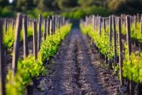 photo-domaine-n-1-37631 &copy; REGIS DOMERGUE