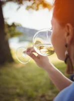 D&eacute;gustation des wines du Languedoc &copy; Les vies dansent