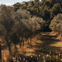 Parcours Biodiversit&eacute; en toute libert&eacute; - Maison le Breton &copy;jordancolin