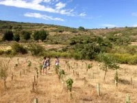 Visite de la vigne permacole &copy; Perma Social Club