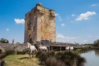 Camargue Autrement &copy;2014 - Studio LM - Laurent Piccolillo