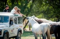 Camargue autrement &copy;2012 - Studio LM - Laurent Piccolillo