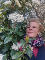 laurier tin Caroline Millot 2022 &copy; Caroline Millot