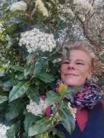 laurier tin Caroline Millot 2022 &copy; Caroline Millot