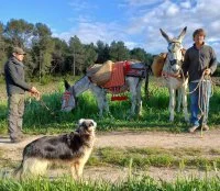 Asinerie de la Huerta &copy; asineriedelahuerta