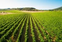 Domaine Les Caizergues_4 &copy; Herv&eacute; Leclair