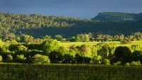 paysage &copy; terroir du Pic Saint-Loup