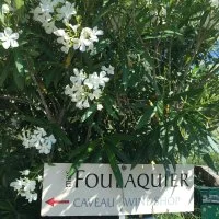 IMG_8974 &copy; Bienvenue au Mas FOULAQUIER!