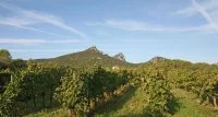 H&eacute;ritage du Pic Saint-Loup - Domaine viticole &copy; h&eacute;ritagepsl