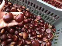 La Ferme d'Esparon &copy; 