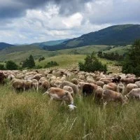 La Ferme du Pic &copy; fermedupic